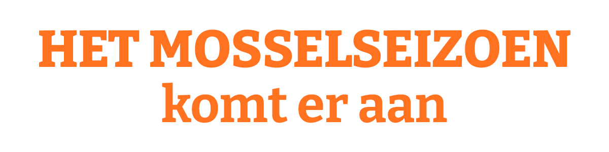 Het mosselseizoen komt er aan
