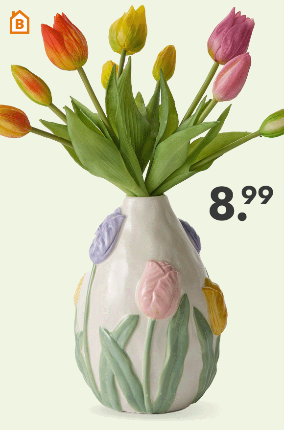 Vaas Tulp voor 8.99