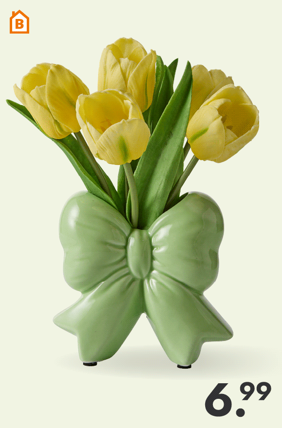 Vaas Strik voor 6.99