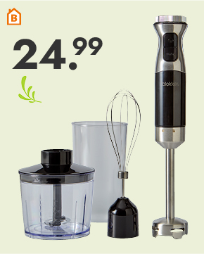 Staafmixerset voor 24.99
