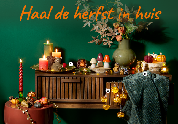 Haal de herfst in huis