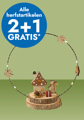 Alle herfstartikelen 2+1 gratis