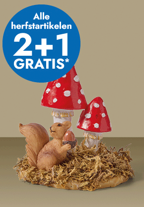 Alle herfstartikelen 2+1 gratis